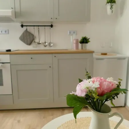 Wengerner Muehle דירה וטר